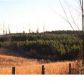 000 CR 166, Florence, AL 35633 ID:7490046