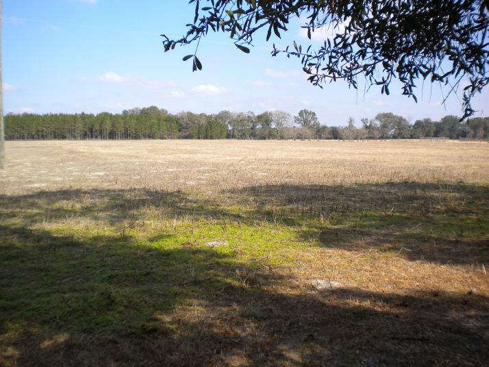 County Road 137 (Lot 1), Branford, FL 32008