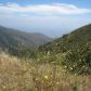 0 Yellow Hill Rd, Malibu, CA 90265 ID:1867298