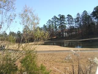 4/24 Isabella16 Fiero Lane, Hot Springs Village, AR 71909