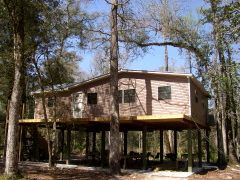 10030 NE 25 Avenue, Branford, FL 32008