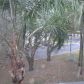 6751 UNIVERSITY DR, Fort Lauderdale, FL 33321 ID:354231
