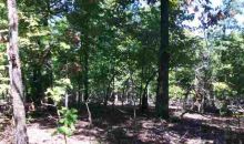 Lots 7 & 8 Duckpond Lane Gepp, AR 72538