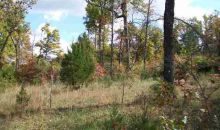 Lot 36 Oak Creek Drive Dr Gepp, AR 72538