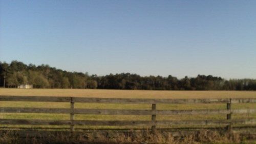 670 Hutchinson Parrish Rd., Adel, GA 31620