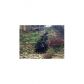 347 Aviemore Lane, Suwanee, GA 30024 ID:8269810