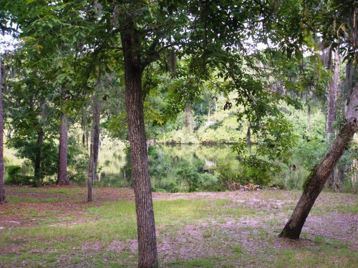 1975 SE Earl Blvd., Branford, FL 32008