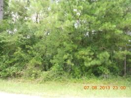 77th Road, Branford, FL 32008