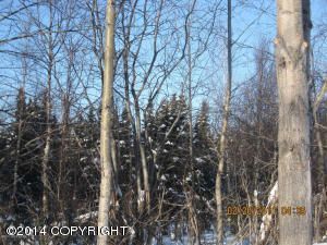 3620 Tranquility Loop, Anchorage, AK 99507