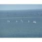 1 GROVE ISLE DR # A1102, Miami, FL 33133 ID:8072771