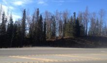 Mile 92.8 Sterling Highway Soldotna, AK 99669