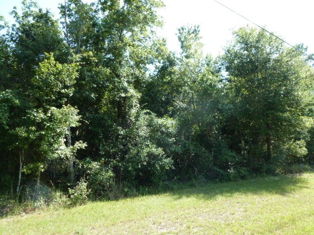 00 NW 114th Ave., Waldo, FL 32694