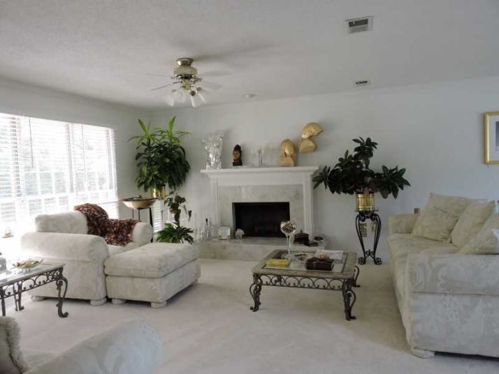 537 Smithstone Trace, Marietta, GA 30067