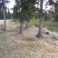 33631 Harvey Street, Soldotna, AK 99669 ID:8100815