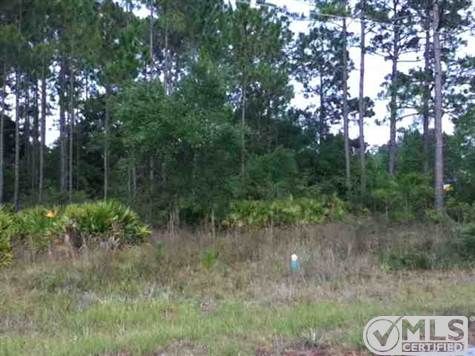 Lucy Ln S Lot 6 & 7, Panacea, FL 32346
