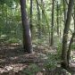 0 Lewis Grindle Road, Dahlonega, GA 30533 ID:3369304