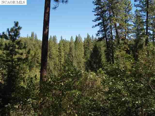 9999 Bitney Springs Rd, Nevada City, CA 95959