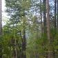 11836 Diamond Creek Road, Nevada City, CA 95959 ID:1145725