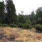 13906 Gemini Ct, Nevada City, CA 95959 ID:1146259