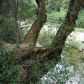15422 Washington Rd, Nevada City, CA 95959 ID:1145750