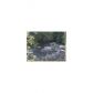 1 Shore Lane, Dahlonega, GA 30533 ID:6506881