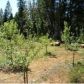 12309 Casci Road, Nevada City, CA 95959 ID:1145594
