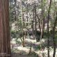 11548 Willow Valley Rd, Nevada City, CA 95959 ID:1145501