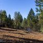 14059 Cartwright Way, Nevada City, CA 95959 ID:1145709