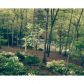 15 Thunder River Way, Cumming, GA 30028 ID:7947306