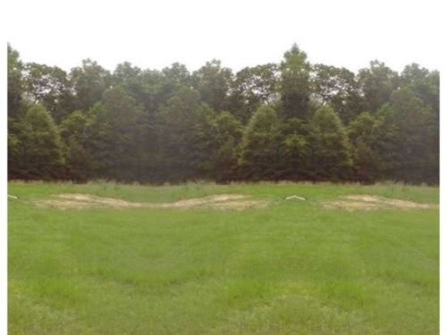COTTON TOP LN 3/4, Pell City, AL 35125