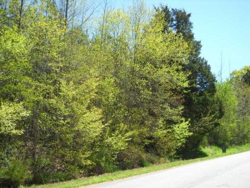 1000 Bell Road, Bremen, GA 30110