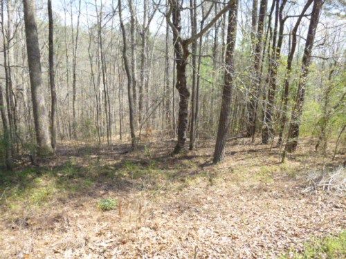0 Seven Bark Dr, Cullman, AL 35057