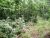 Hwy 125 Peel, AR 72668