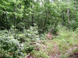 Hwy 125, Peel, AR 72668