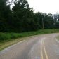 Hwy 125, Peel, AR 72668 ID:1161059