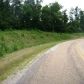Hwy 125, Peel, AR 72668 ID:1161060