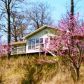 45 Cedar Bluff Lane, Peel, AR 72668 ID:1161085