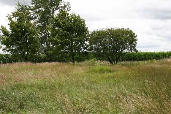 12551 Hartley Rd, Waldron, MI 49288