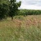 12551 Hartley Rd, Waldron, MI 49288 ID:793299