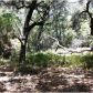 0 Encinal Canyon Rd, Malibu, CA 90265 ID:1867882