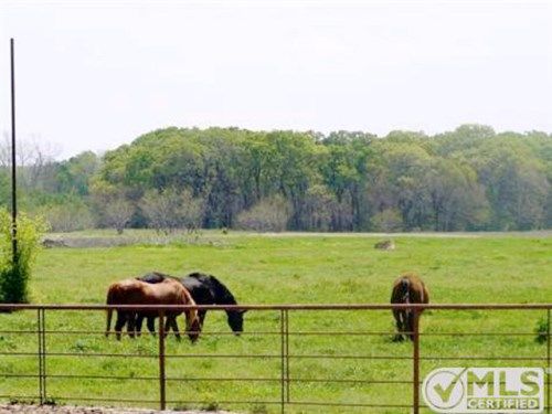 6558 Fm 2578, Terrell, TX 75160