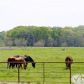 6558 Fm 2578, Terrell, TX 75160 ID:8327719