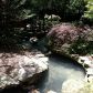 Unit 2315 - 1850 Cotillion Drive, Atlanta, GA 30338 ID:4151805