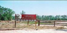Walton County Highway 2 Laurel Hill, FL 32567