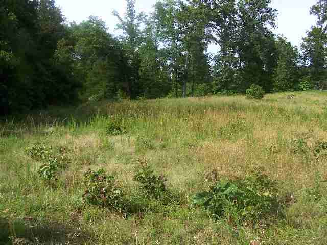 Lot 13 Foxcroft Lane Ln, Elizabeth, AR 72531