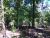 Lots 7 & 8 Duckpond Lane Gepp, AR 72538