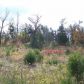 Lot 36 Oak Creek Drive Dr, Gepp, AR 72538 ID:1170583