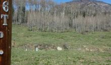 239 & 241 SPRUCE GLEN Creede, CO 81130