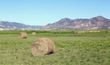 1533 County Road 233 Rifle, CO 81650