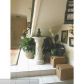 6849 NW 4th Ct # 608, Fort Lauderdale, FL 33317 ID:8144201